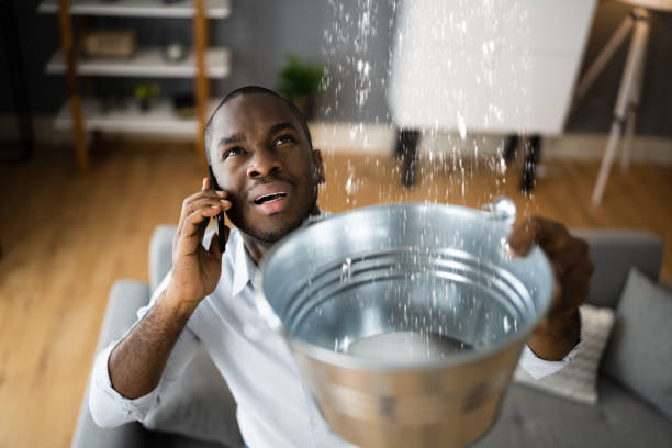 Best Carpet water damage restoration  in Broxton, GA