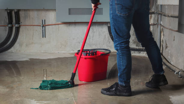 Best Professional water damage repair  in Broxton, GA