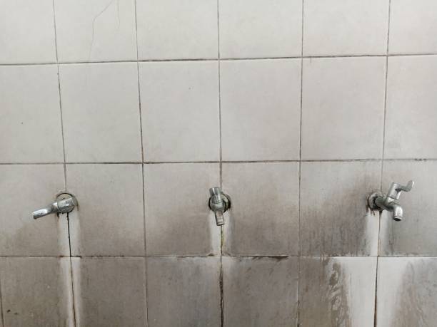 Best Water damage restoration process  in Broxton, GA