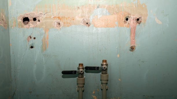 Best Commercial water damage restoration  in Broxton, GA