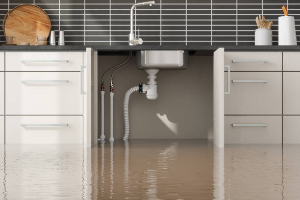 Best 24-hour water damage restoration  in Broxton, GA