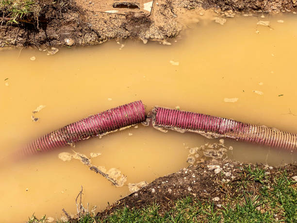 Best Flood restoration services  in Broxton, GA