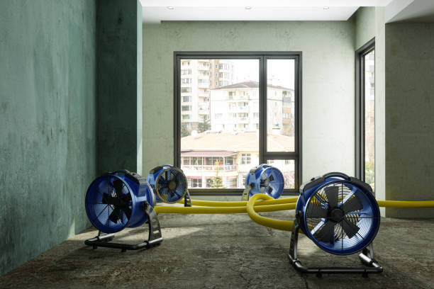 Best Water damage restoration near me  in Broxton, GA