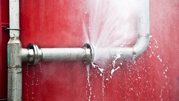 Best Local water damage restoration  in Broxton, GA